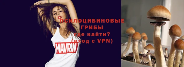 ешки Алексеевка