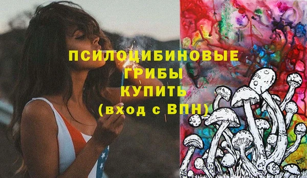 ешки Алексеевка