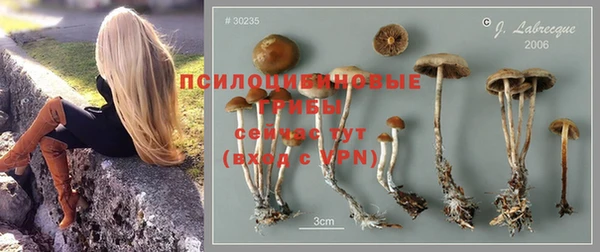 гидропоника Алзамай