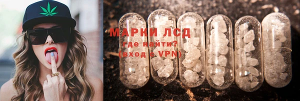 гидропоника Алзамай