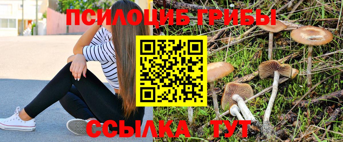 Псилоцибиновые грибы Psilocybe  хочу наркоту  Вход с VPN  Аргун  Галлюциногенные грибы GOLDEN TEACHER 