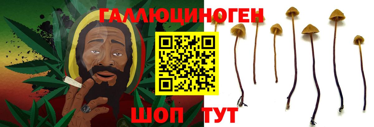 Псилоцибиновые грибы прущие грибы Аргун